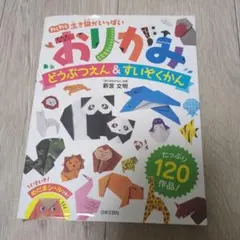 Item thumbnail for item 71e9fe41-bbe6-4e2e-8018-5fa055e17d3f