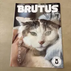BRUTUS 1017号 猫になりたい。