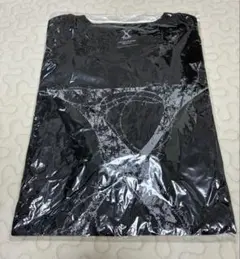 B'z ACTIONツアー ブラック ラインストーン Tシャツ Mサイズ - メルカリ
