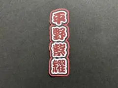 Item thumbnail for item 0166c689-525f-4219-ad35-c247b2ba6560