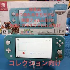 任天堂あつまれ動物の森　マメきちつぶきちアロハモデル　動作確認済み　おまけあり