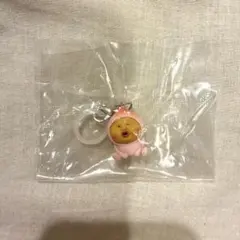 こびとづかん　めじるしアクセサリー　カクレモモジリ
