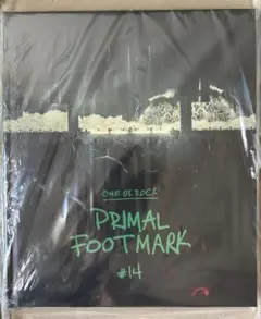 ONE OK ROCK PRIMAL FOOTMARK 新品未使用品