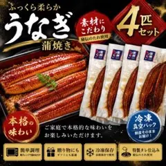 冷凍うなぎ 4尾 クール便発送 冷凍うなぎ 4尾 クール便発送 - メルカリ