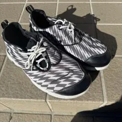 Item thumbnail for item f0b568a6-f33d-4b9b-930c-64ecce3cd519