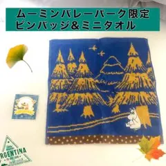 未使用　ムーミン　バレーパーク限定　ピンバッジ　ミニタオル