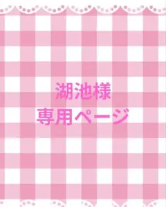 湖池様おまとめ専用ページ