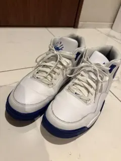 29.0cm NIKE Flight Legacy