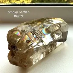 スパイラライト（Spiralite Fossil Shell） 天然石 シュガー - メルカリ