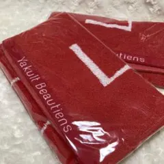 Item thumbnail for item 89fb2605-b47c-4da0-9044-ae3252cdcac3