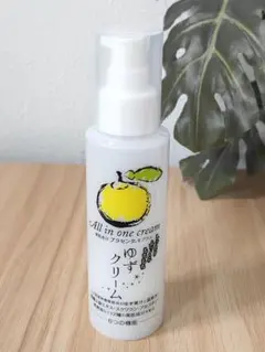 ゆずクリーム オールインワン 100g　プラセンタ　保湿　フェイスケアのサムネイル