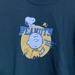 Item thumbnail for item 0839224a-ec20-4f23-80a7-c52772460b46