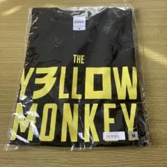 Item thumbnail for item 40562c89-2aa0-420f-b87b-55689ef85d0e