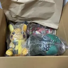 新品・未開封】ショーン・ウォザースプーン ポケモン ぬいぐるみ 3種
