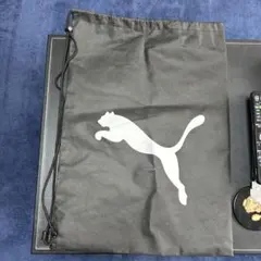 Item thumbnail for item 8b145c4f-c503-4d49-8e45-ebf315bd03ae