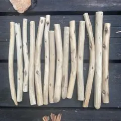 Item thumbnail for item f2ed745e-6cc6-4d81-9b14-531002c14040