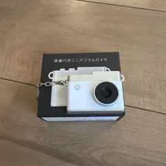 Item thumbnail for item 5d87e48d-acb0-4c1f-acdf-35df1c8d905f