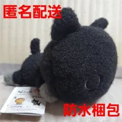 San-Xオールスターズ ふわふわブラックカラーぬいぐるみ 靴下にゃんこ