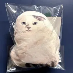 Item thumbnail for item 73e186ee-fa85-45be-83a6-2b6b0041df15