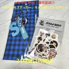 やふたろう様専用 すのチルソフビポーチ 白 2体用 SnowMan - メルカリ