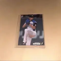 大谷翔平 2014 カルビー プロ野球チップス カード 日本ハム - メルカリ