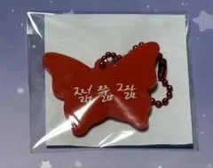 NCT DREAM ドリショ4 ランダムトイ チソン　直筆メッセージチャーム