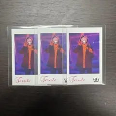 てるとくん フォトカ