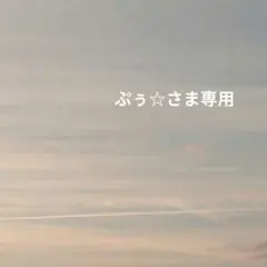 ぷぅ☆さま専用。