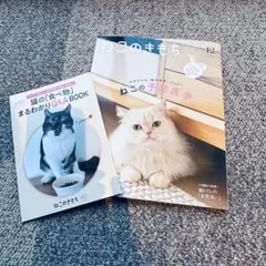 Item thumbnail for item 4c173e24-4009-43fd-b8d3-9346f6671a15