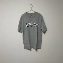 Item thumbnail for item 9a3c5c8a-be75-4454-b3a7-509b8261279b