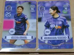 2026年最新】オンサイトカード サンフレッチェ広島の人気アイテム