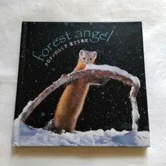 forest angel クロテンのふしぎ