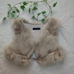 【美品】clear・クリア・ファーベスト・フォックスファー・Mサイズ・ショート丈