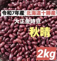 中 5Kg沖縄県産摘果マンゴー30g～日々肥大 (お漬物用) - メルカリ
