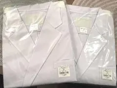 Item thumbnail for item e4181371-f140-4759-a081-29fe7fc62e09