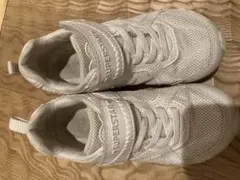 Item thumbnail for item 0d8d3472-c87e-4bc6-8940-eea5752595e3