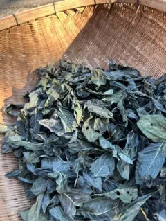 Item thumbnail for item 5c648092-5c07-4ba0-8f50-b460c2a1bbc6