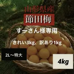 木成り完全完熟❗️山形県産『節田梅』特大2kgのサムネイル