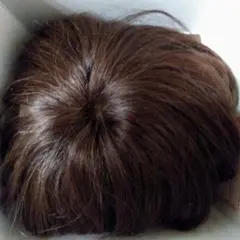 Item thumbnail for item 579a11a4-2fc3-42ef-b00a-2d50f913e986