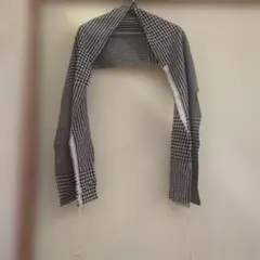 Item thumbnail for item 67066151-ce8e-4bbe-81e9-b95440933786