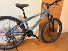 ビアンキ EAGLE24 24インチ アルミ シマノ21速 本格子供用MTB - メルカリ