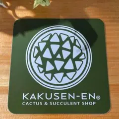 宮下将太　鶴仙園　ＸＬ 宮下将太 | STORES