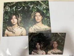 2026年最新】カインとアベル DVD-BOXの人気アイテム - メルカリ