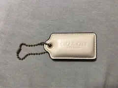 Item thumbnail for item 550b7d78-e077-452d-b03e-6cd047b01ba8