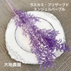 済　くるみこ様　ご専用