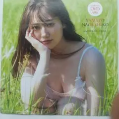 週刊Playboy附錄 奥山和紗「大和撫子」DVD