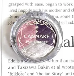 CANMAKE アイニュアンスアイシャドウ 20 キャンメイク