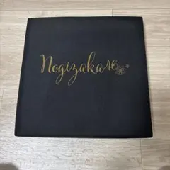 乃木坂46 メンバー直筆サイン入りクリアファイル(A4サイズ)、額縁付き 乃木坂46 メンバー直筆サイン入りクリアファイル(A4サイズ)、額縁付き