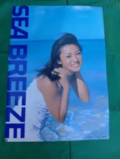 激レア】SEA BREEZE 店頭用 看板 POP 赤西仁 星野真里 非売品 - メルカリ