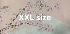 X-RAYPAD AQUA CONTROL 2 900x400x4mm